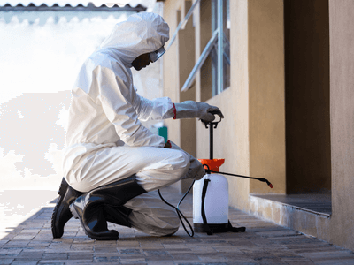 About Cleveland Pest Extermination Pros - pest extermination experts in Cleveland